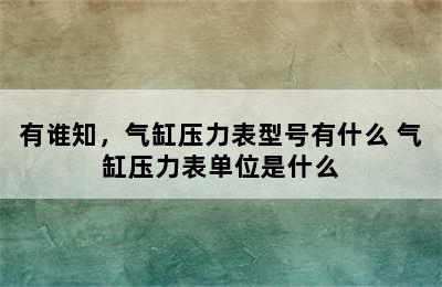 有谁知，气缸压力表型号有什么 气缸压力表单位是什么